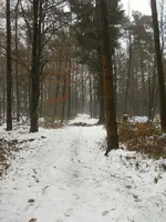 DSCN7202.webp