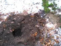 DSCN7220.webp