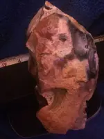 ImageUploadedByTreasureNet.com1421857544.113711.webp