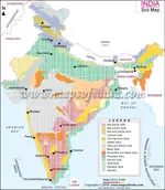 india-map-of-soils.webp