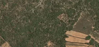 map3.webp