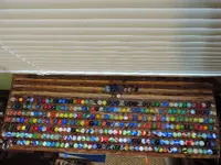 DSCN3056.webp