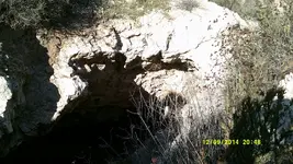 DSCF0591.webp
