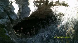 DSCF0592.webp