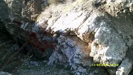 DSCF0593.webp