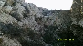 DSCF0597.webp