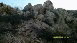 DSCF0598.webp
