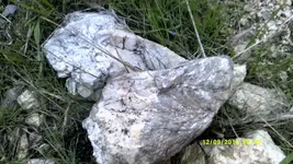 DSCF0599.webp