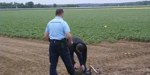 deja-surveillee-la-detection-de-loisir-pourrait-etre_1668442_800x400.webp