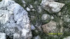 DSCF0603.webp
