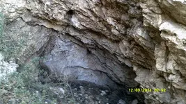 DSCF0605.webp