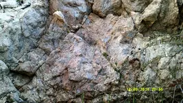 DSCF0611.webp