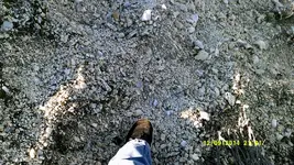 DSCF0614.webp