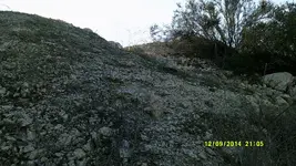DSCF0623.webp