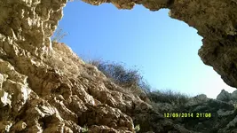DSCF0636.webp