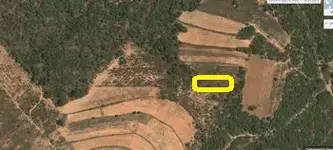 map2.webp