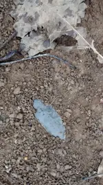 phone 058.webp