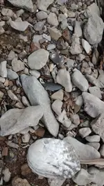 phone 050.webp