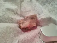 TOURMALINE 1.webp