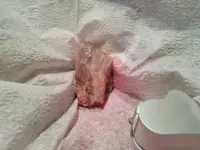 TOURMALINE 3.webp