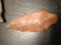 Close up of arrowhead.webp
