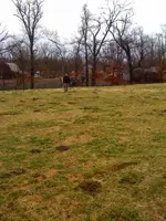 ImageUploadedByTreasureNet.com1421204855.331501.webp