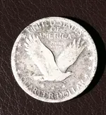 SLQ back smaller file.webp