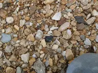 SDC10430.webp