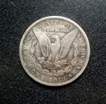 morgan back.webp