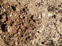 ImageUploadedByTreasureNet.com1422398681.760922.webp ImageUploadedByTreasureNet.com1422398681.760922.webp