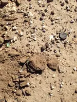 ImageUploadedByTreasureNet.com1422398815.193680.webp ImageUploadedByTreasureNet.com1422398815.193680.webp