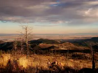 gold hill 2.webp