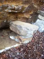 ImageUploadedByTreasureNet.com1417829741.215432.webp