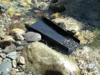 6-2014 007.webp