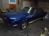 Stang 001.webp