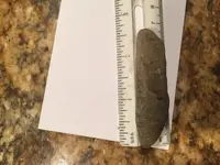 arrowhead 1.webp