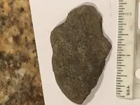 arrowhead 2.webp