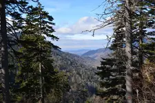 smokies 2.webp