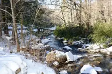 smokies 6.webp