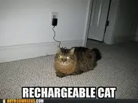 rechargeablecat.webp