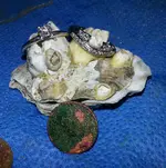 20141205_161252.webp