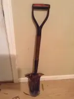 ImageUploadedByTreasureNet.com1419900276.949498.webp