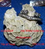 Ring Daddy #12.webp