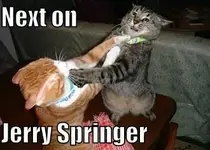 Jerry.webp