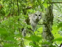 DSCN0641.webp