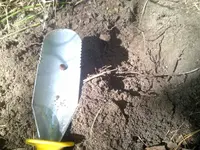 IMG-20140719-02055.webp