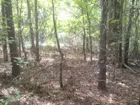 IMG-20140719-02058.webp