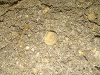 IMG-20140721-02079.webp