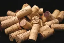 ImageUploadedByTreasureNet.com1421234312.698228.webp ImageUploadedByTreasureNet.com1421234312.698228.webp