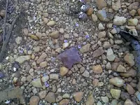 elora1.webp